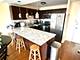 801 S Plymouth Unit 306, Chicago, IL 60605