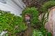 2761 Lincolnwood, Evanston, IL 60201