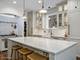2227 W Medill, Chicago, IL 60647