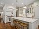 2227 W Medill, Chicago, IL 60647