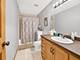 21329 Windy Hill, Frankfort, IL 60423
