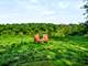 6N779 Il Route 31, St. Charles, IL 60174