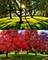 23378 N Apple Hill, Lincolnshire, IL 60069