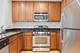 1255 S State Unit 1805, Chicago, IL 60605