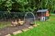 820 Rotolo, Batavia, IL 60510