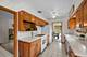 806 S Elm, Mount Prospect, IL 60056