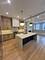 3508 W Belden, Chicago, IL 60647