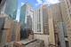 535 N Michigan Unit 1106, Chicago, IL 60611