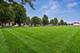 195 N Hickory, Arlington Heights, IL 60004
