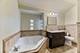209 Le Moyne, Oak Park, IL 60302