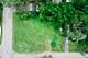 6607 Palma, Morton Grove, IL 60053