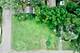 6607 Palma, Morton Grove, IL 60053