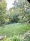 381 N Silverleaf, Carol Stream, IL 60188