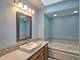 17336 Carlyle, Tinley Park, IL 60487