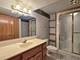 17336 Carlyle, Tinley Park, IL 60487